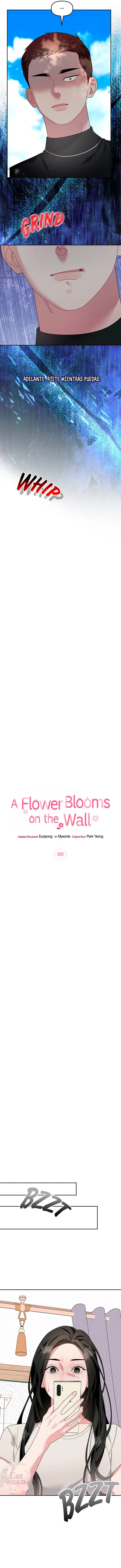 La flor que floreció en la pared Capítulo 29 - Page 7
