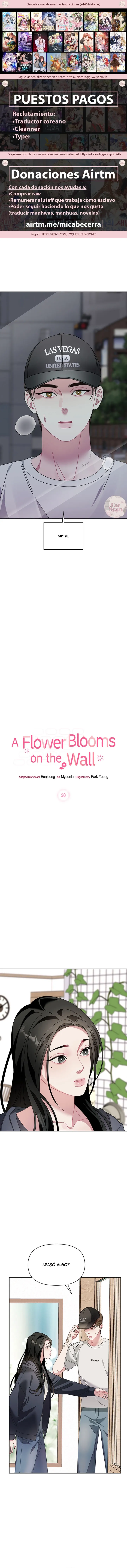 La flor que floreció en la pared Capítulo 30 - Page 1