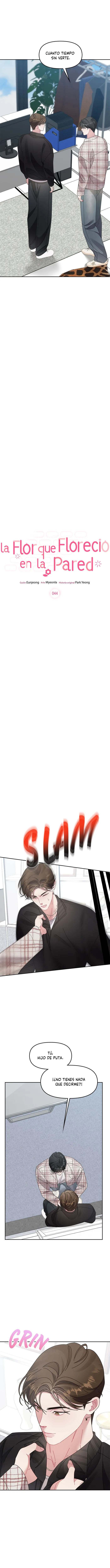 La flor que floreció en la pared Capítulo 44 - Page 3