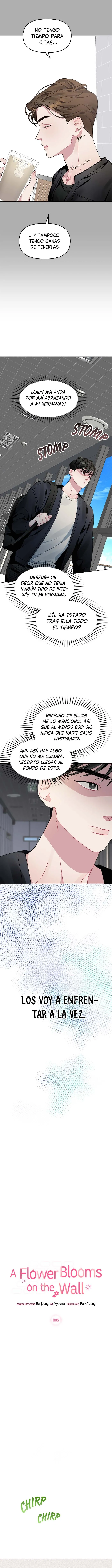 La flor que floreció en la pared Capítulo 5 - Page 8