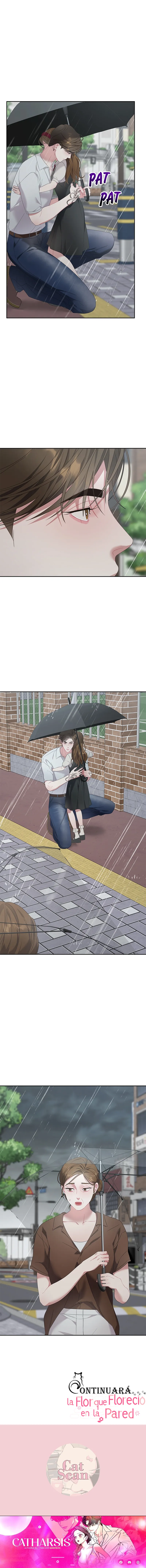 La flor que floreció en la pared Capítulo 50 - Page 15