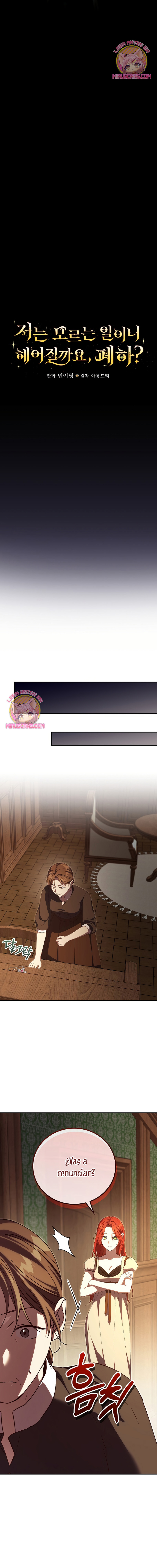 Como es algo que desconozco, ¿deberíamos separarnos, su majestad? Capítulo 45 - Page 17