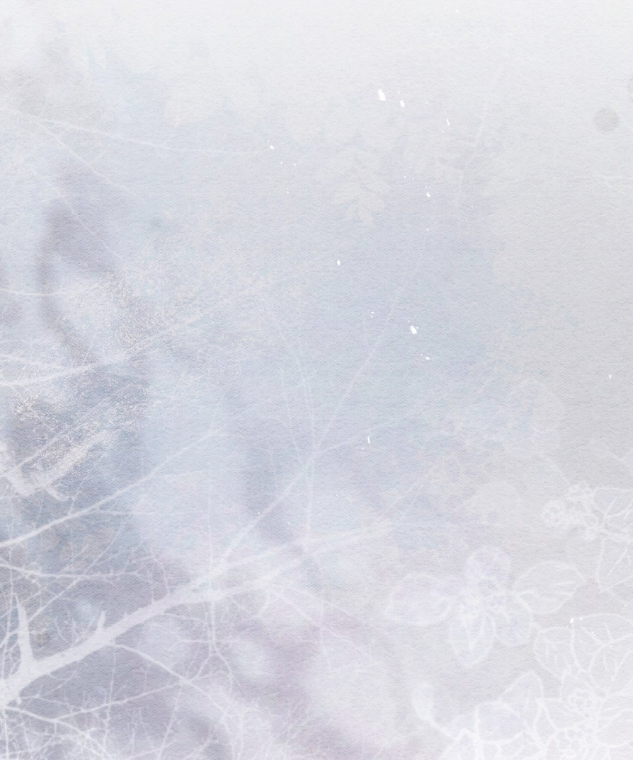 El tiempo de la bestia ciega Capítulo 2 - Page 12