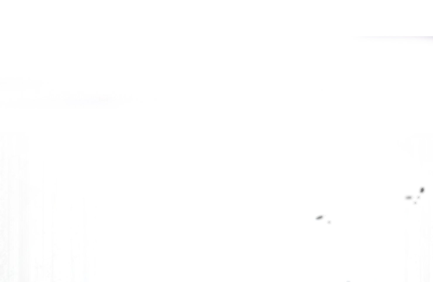 El tiempo de la bestia ciega Capítulo 3 - Page 40