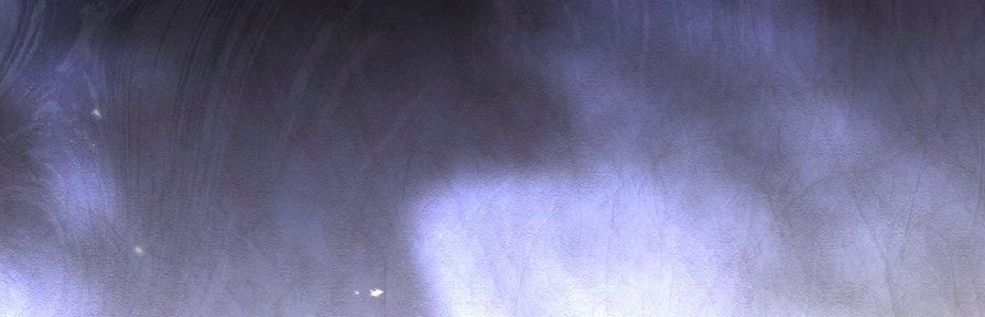 El tiempo de la bestia ciega Capítulo 5 - Page 21