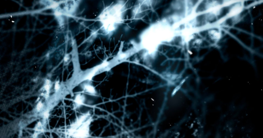 El tiempo de la bestia ciega Capítulo 8 - Page 28