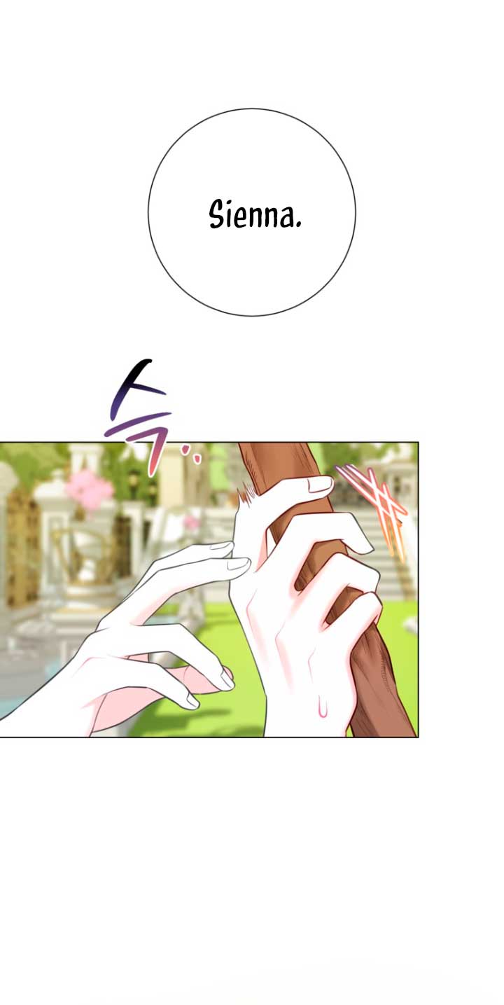 El mundo en el que desapareció la amada hermana Capítulo 14 - Page 5