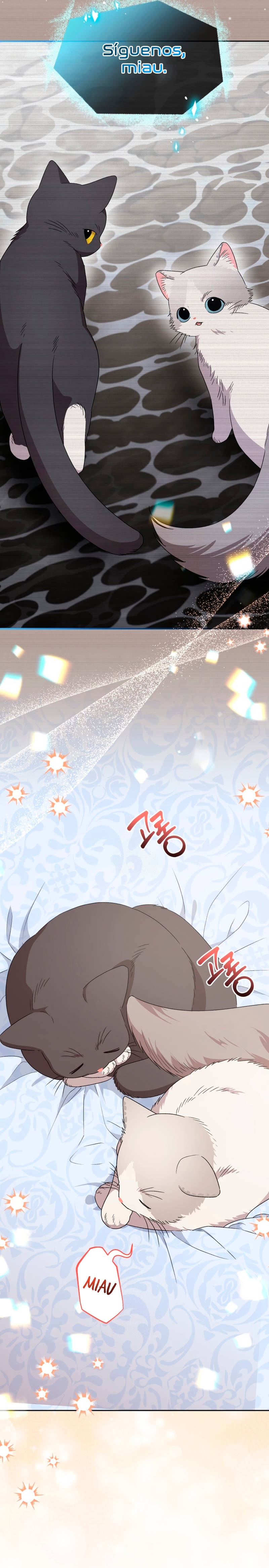 Me convertí en la madrastra de una familia oscura Capítulo 71 - Page 11