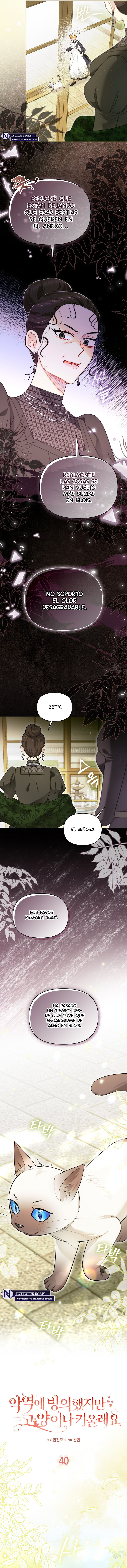 ¿Si Reencarné Como Villana Por Qué Me Convertí En Una Mayordomo De Gatos? Capítulo 40 - Page 3