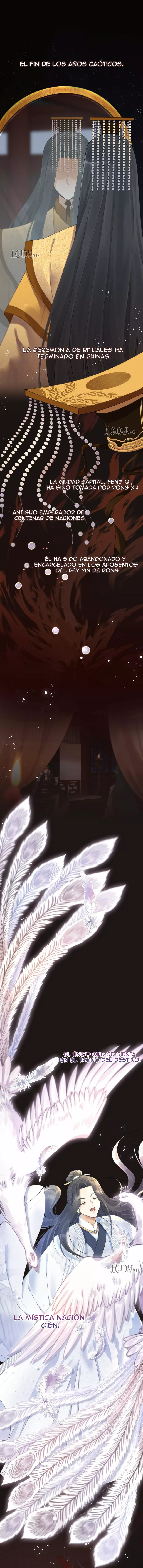 Noche de caos Capítulo 0 - Page 5