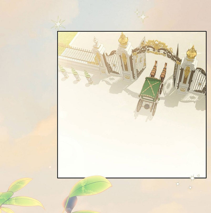 ¿Por qué estás obsesionado con tu esposa falsa? Capítulo 3 - Page 29