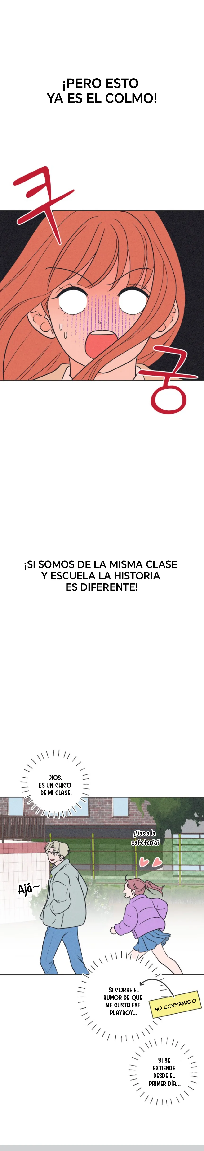 Quiero arruinar mi amor no correspondido Capítulo 3 - Page 17