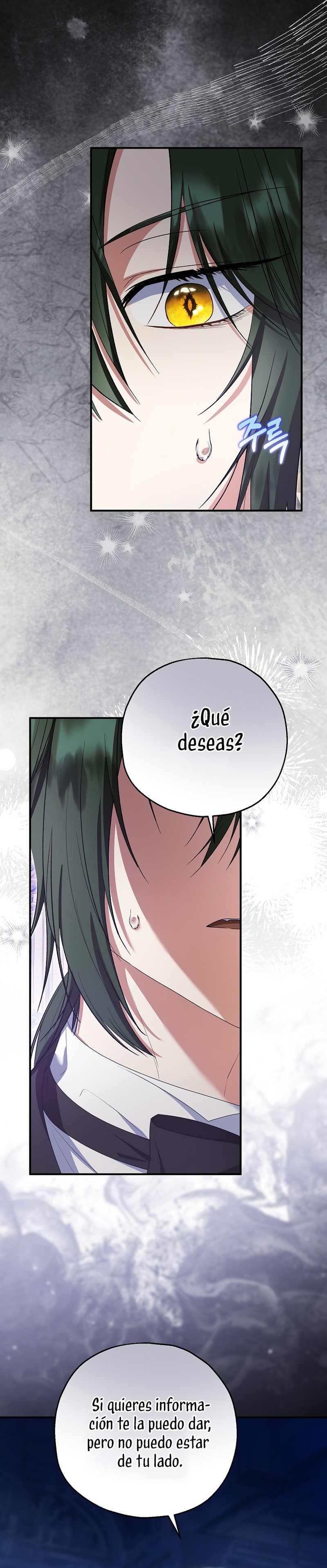 La futura nuera se prepara para la adopción Capítulo 96 - Page 29