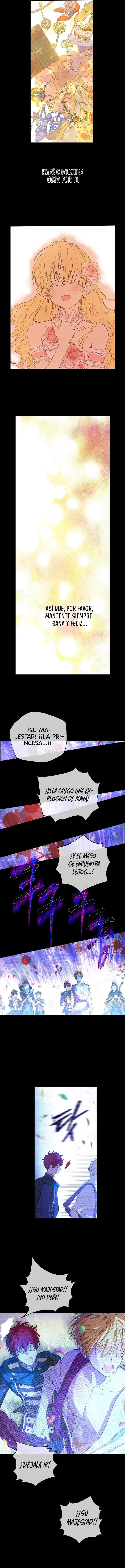 ¿Cómo Me Convertí En Princesa? – Princesa Encantadora Capítulo 102 - Page 11