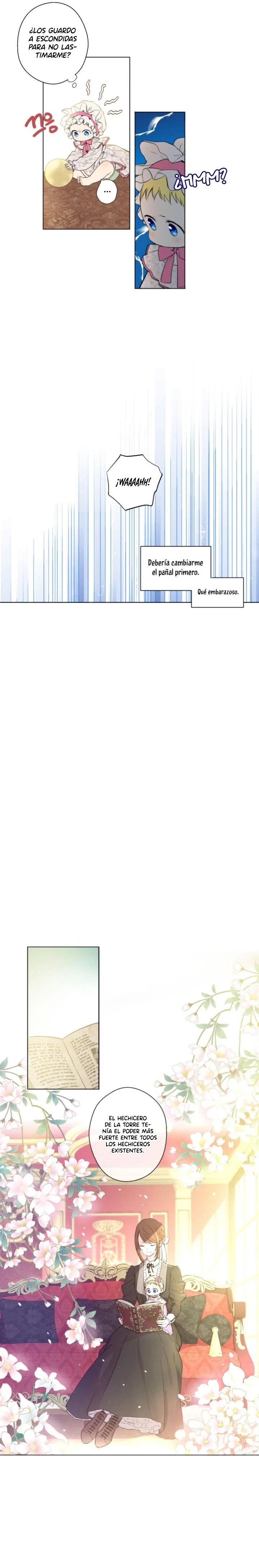 ¿Cómo Me Convertí En Princesa? – Princesa Encantadora Capítulo 2 - Page 11