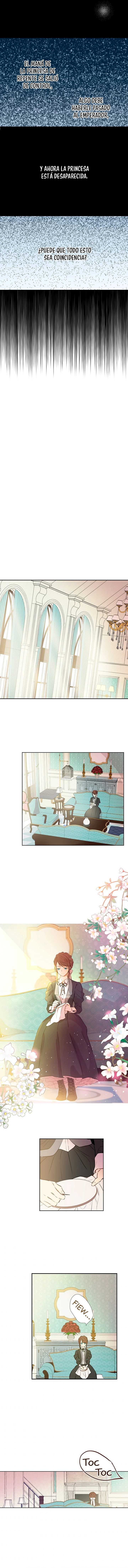 ¿Cómo Me Convertí En Princesa? – Princesa Encantadora Capítulo 62 - Page 11