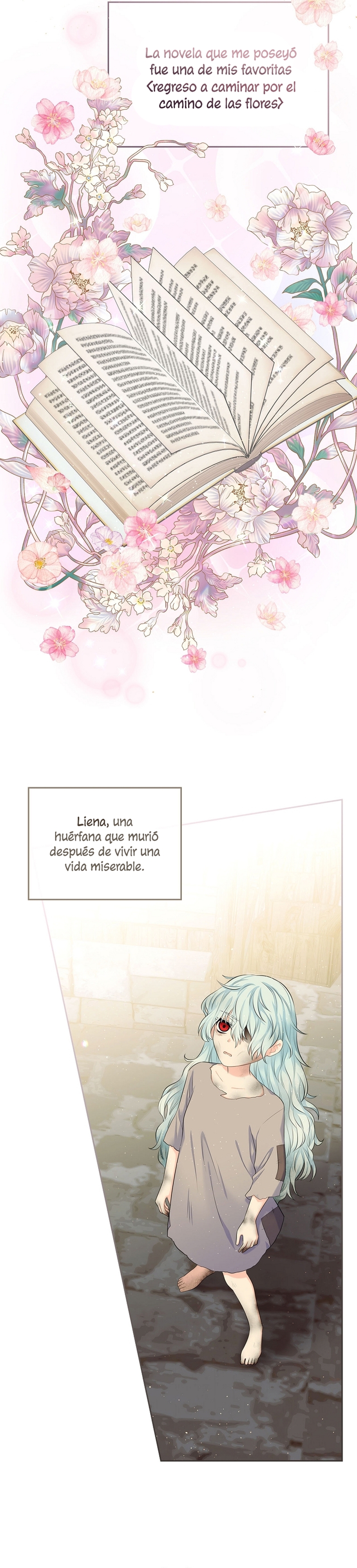 Me divorciaré del hermano Siscon de la protagonista femenina Capítulo 1 - Page 15