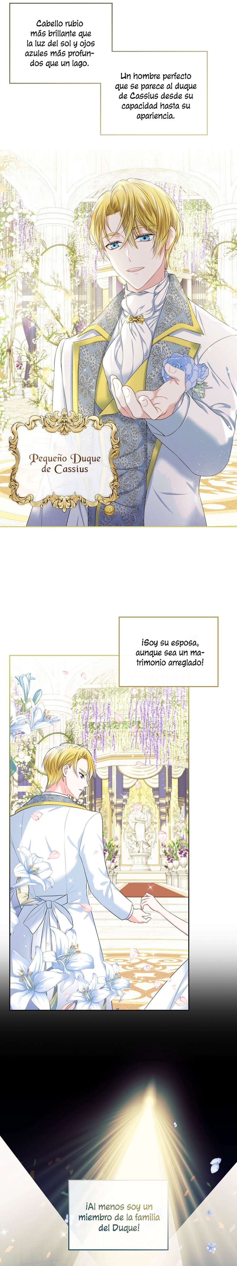 Me divorciaré del hermano Siscon de la protagonista femenina Capítulo 1 - Page 19