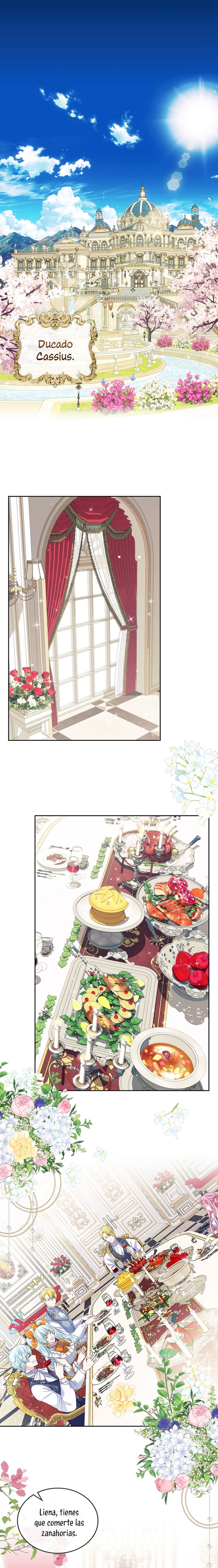 Me divorciaré del hermano Siscon de la protagonista femenina Capítulo 1 - Page 3