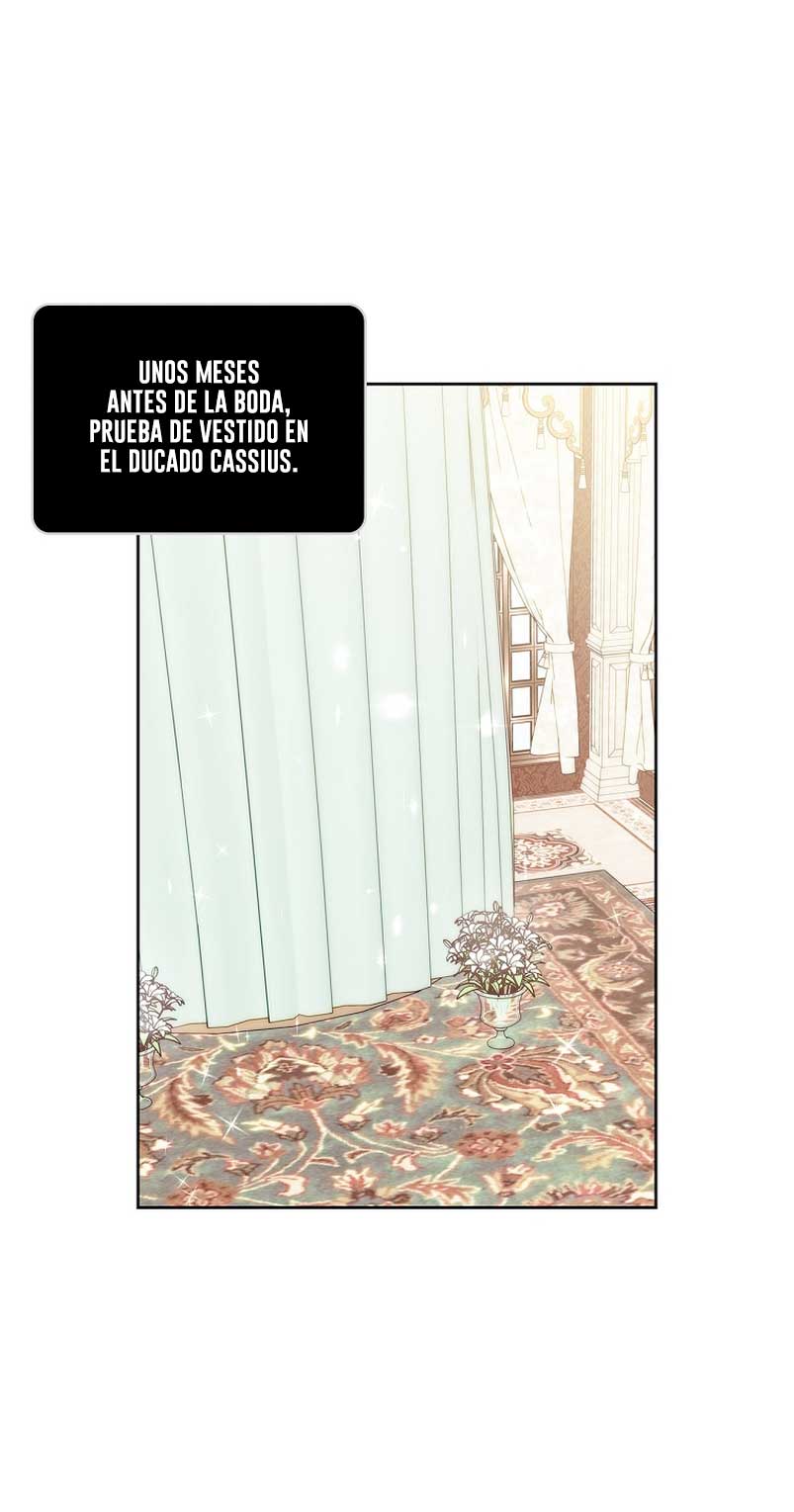 Me divorciaré del hermano Siscon de la protagonista femenina Capítulo 2 - Page 27