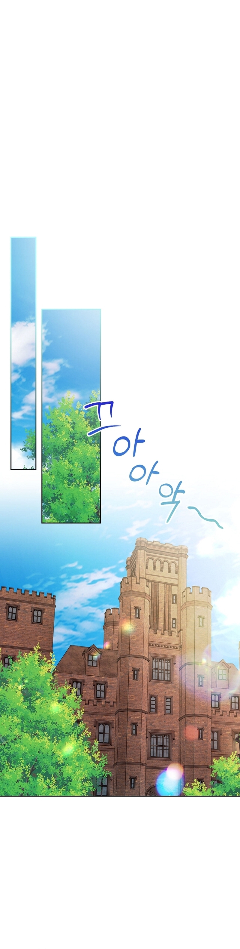 Me divorciaré del hermano Siscon de la protagonista femenina Capítulo 58 - Page 11