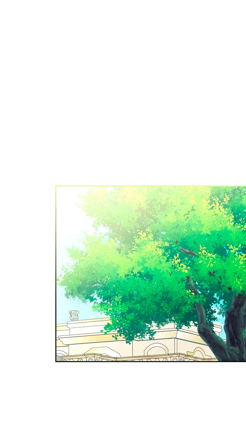 Me divorciaré del hermano Siscon de la protagonista femenina Capítulo 7 - Page 26