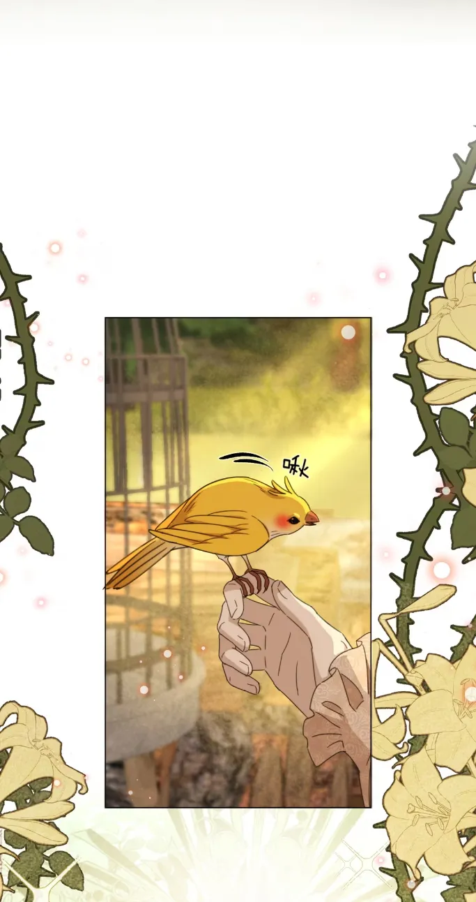 El príncipe y la pantera negra Capítulo 7 - Page 11