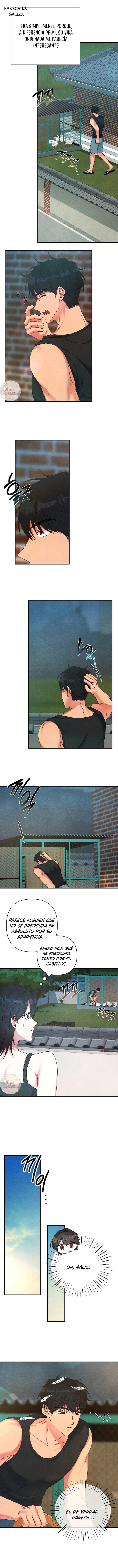 A mi albaricoquero Capítulo 3 - Page 4