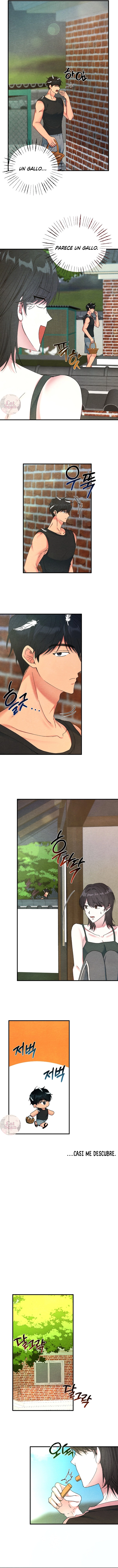 A mi albaricoquero Capítulo 3 - Page 5