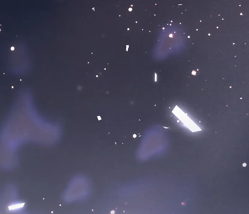 Caí en tu trampa Capítulo 10 - Page 10