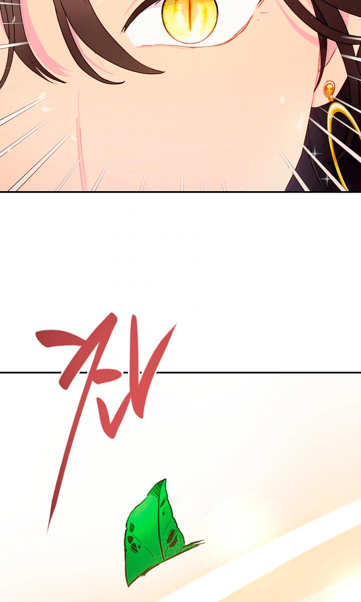 Terminé con mi esposo, ahora iré a hacer dinero Capítulo 15 - Page 37