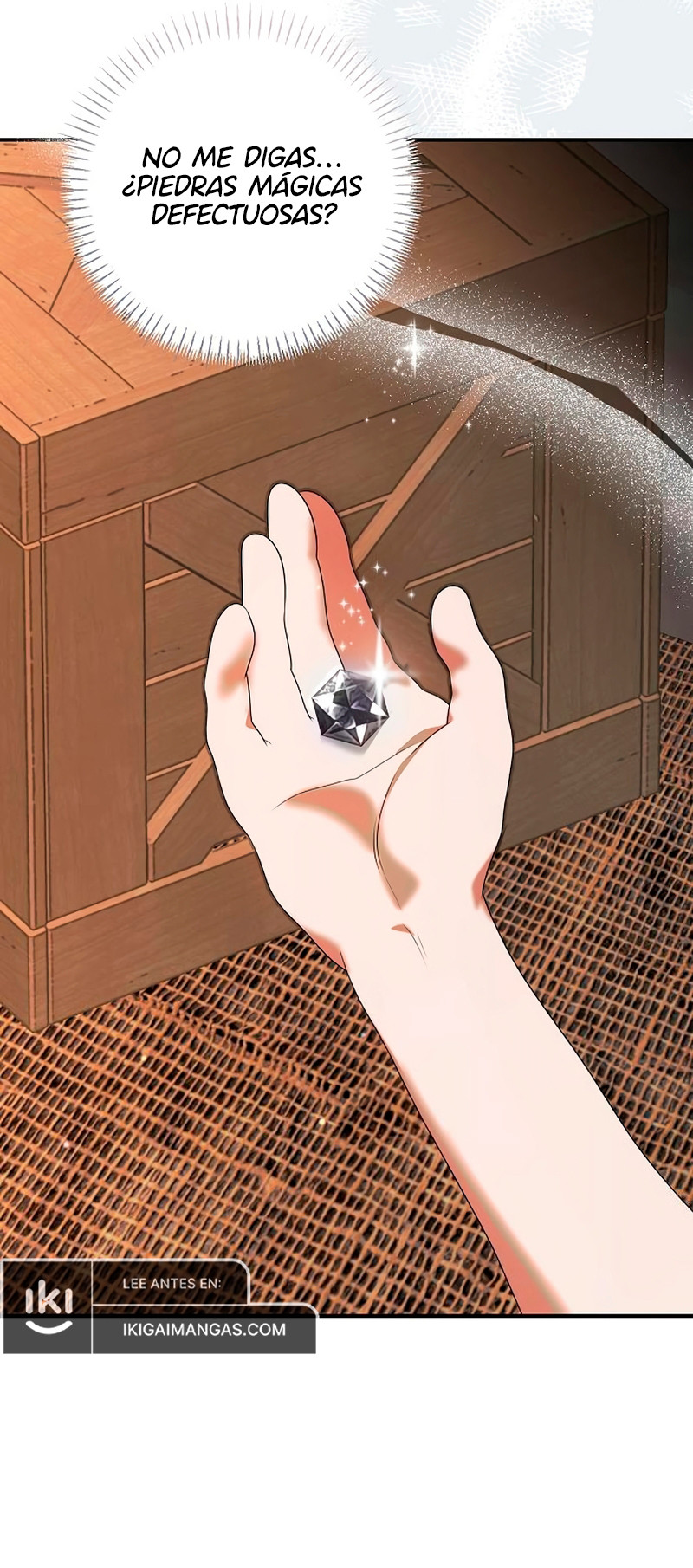 Encontré Una Familia Que No Estaba En Mi Plan De Adopción Capítulo 47 - Page 10