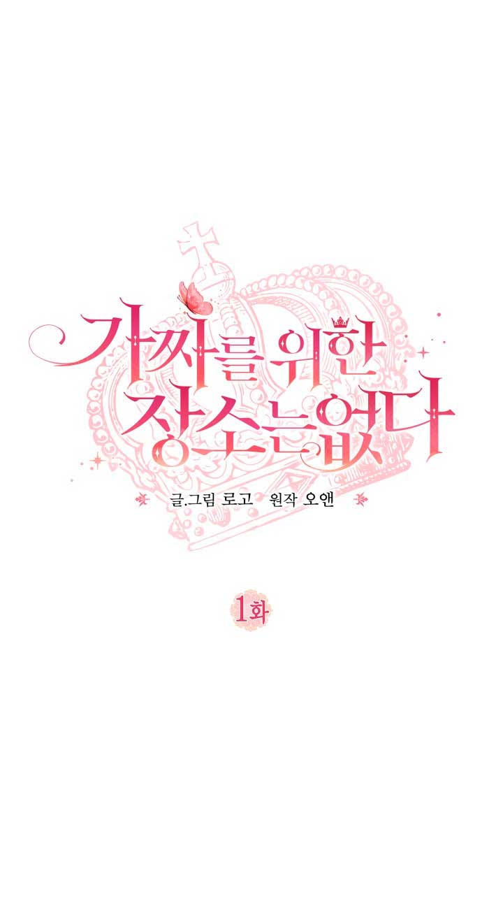 No hay lugar para las falsificaciones Capítulo 1 - Page 14