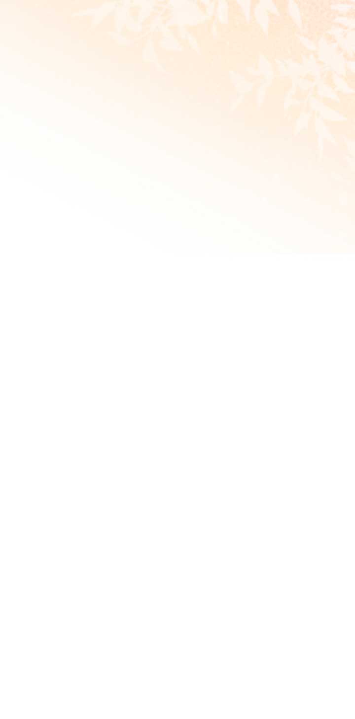 No hay lugar para las falsificaciones Capítulo 11 - Page 33