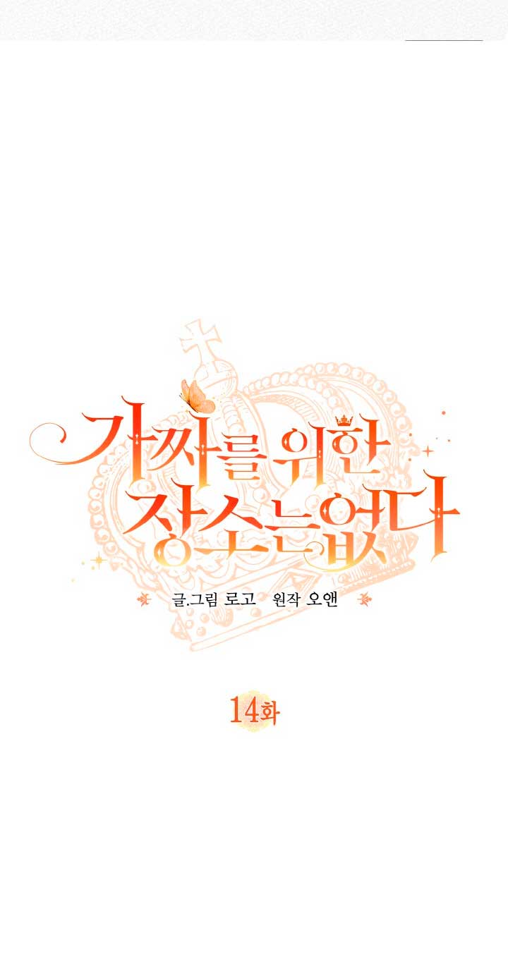 No hay lugar para las falsificaciones Capítulo 14 - Page 9