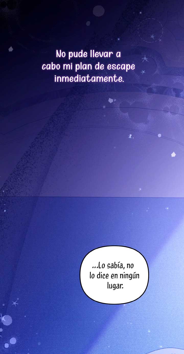 No hay lugar para las falsificaciones Capítulo 15 - Page 29