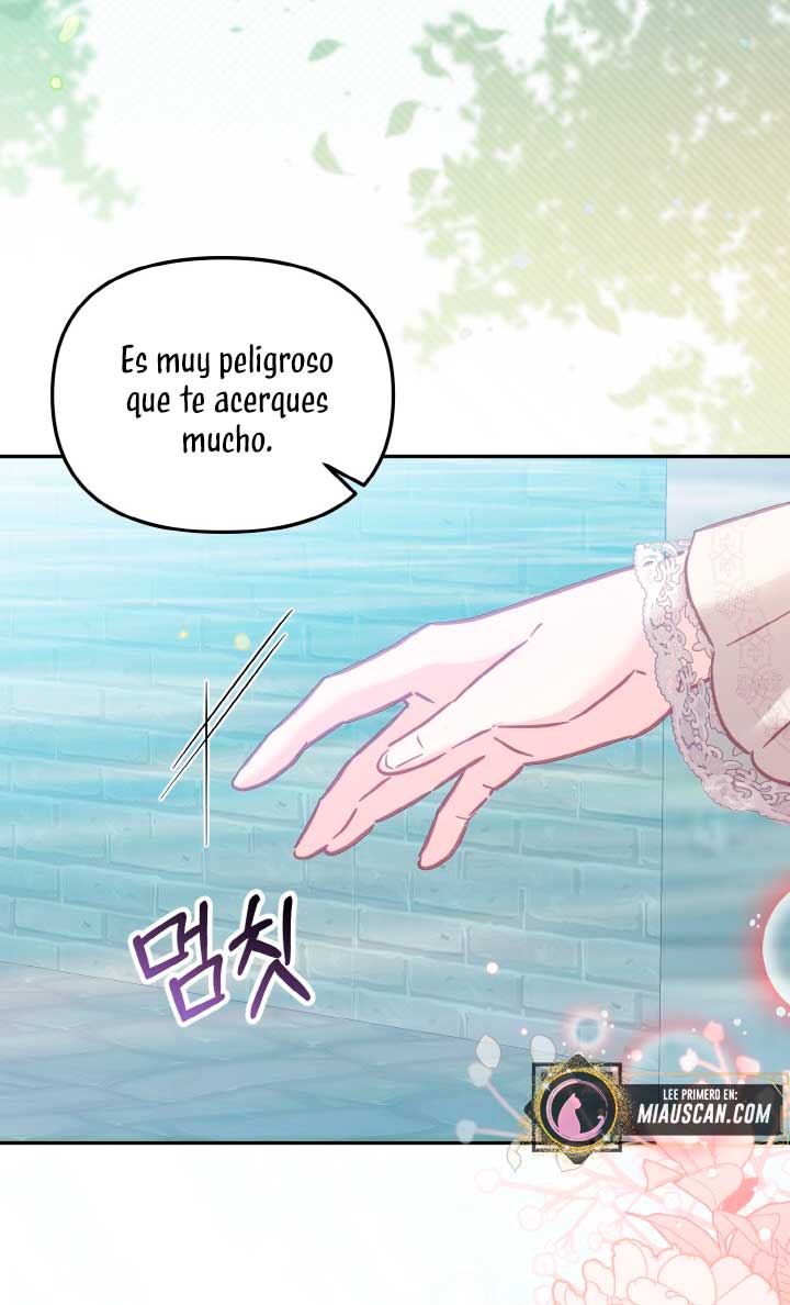 No hay lugar para las falsificaciones Capítulo 17 - Page 5