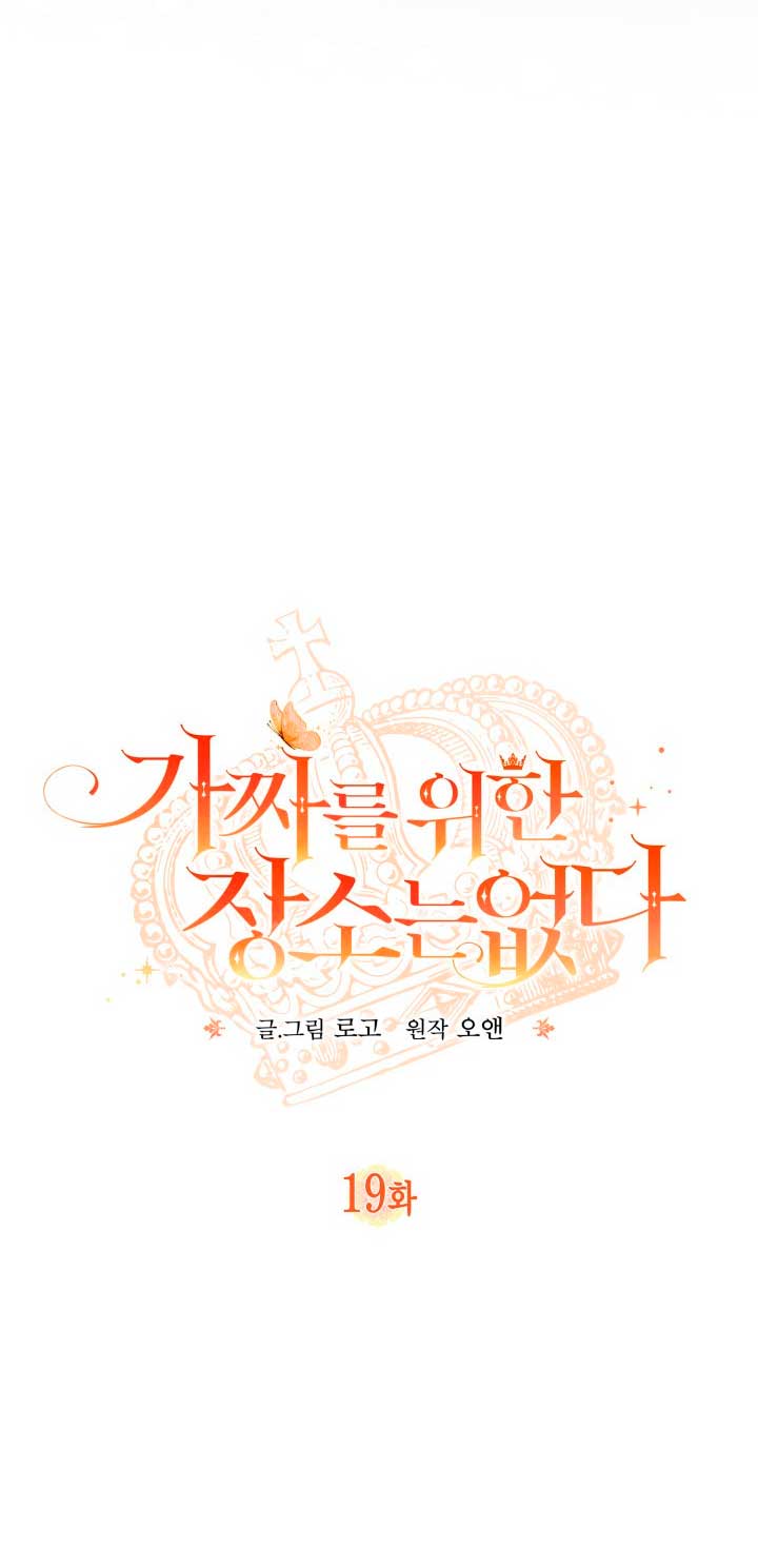 No hay lugar para las falsificaciones Capítulo 19 - Page 14