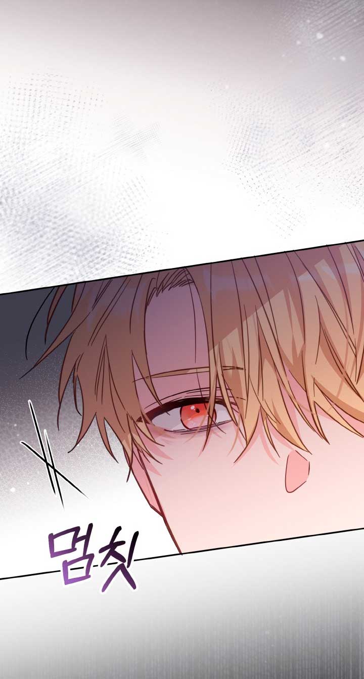 No hay lugar para las falsificaciones Capítulo 20 - Page 67