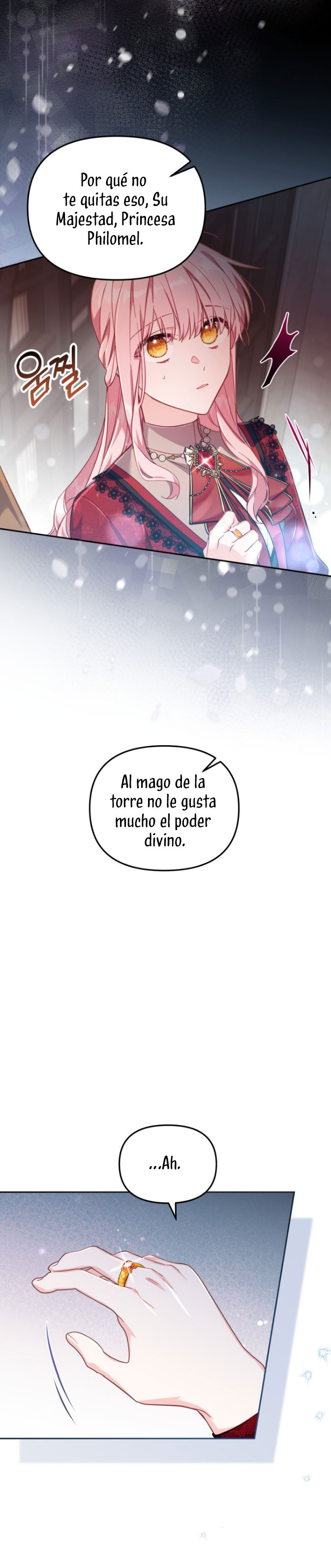 No hay lugar para las falsificaciones Capítulo 23 - Page 17