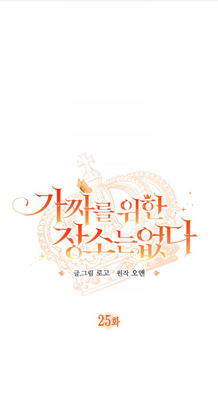 No hay lugar para las falsificaciones Capítulo 25 - Page 3