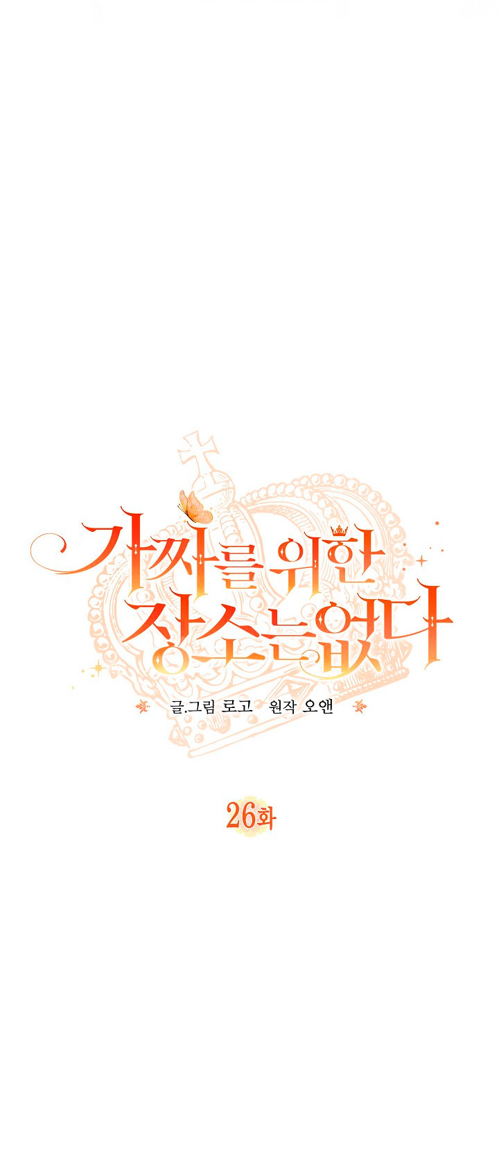 No hay lugar para las falsificaciones Capítulo 26 - Page 12