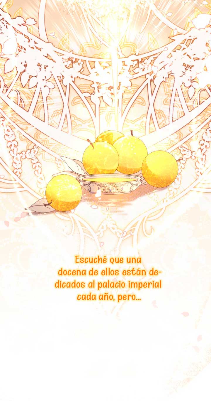 No hay lugar para las falsificaciones Capítulo 5 - Page 10