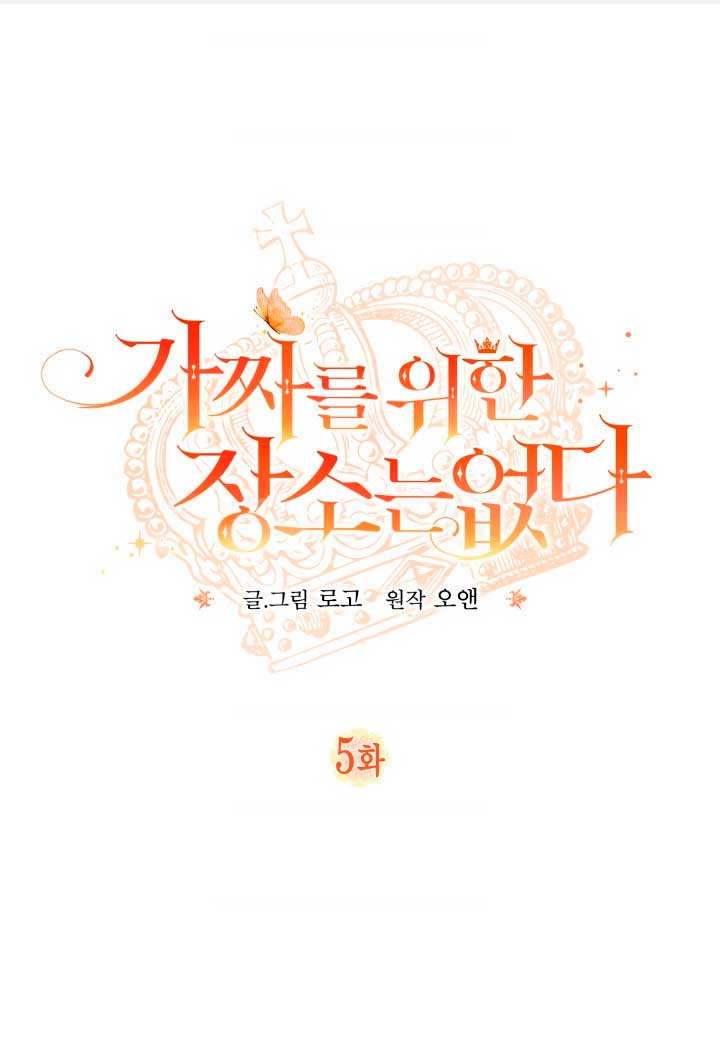 No hay lugar para las falsificaciones Capítulo 5 - Page 3