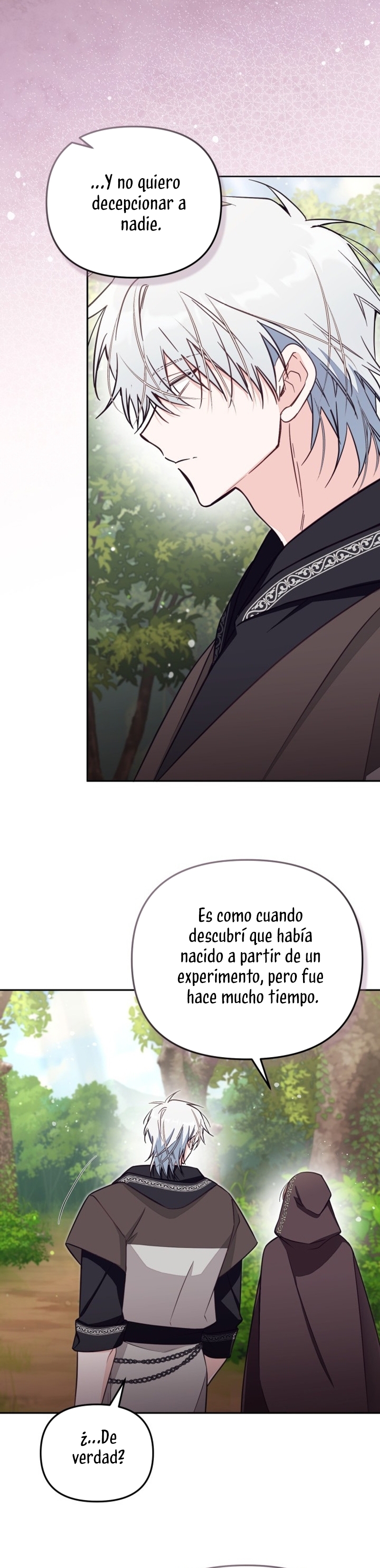 No hay lugar para las falsificaciones Capítulo 79 - Page 27