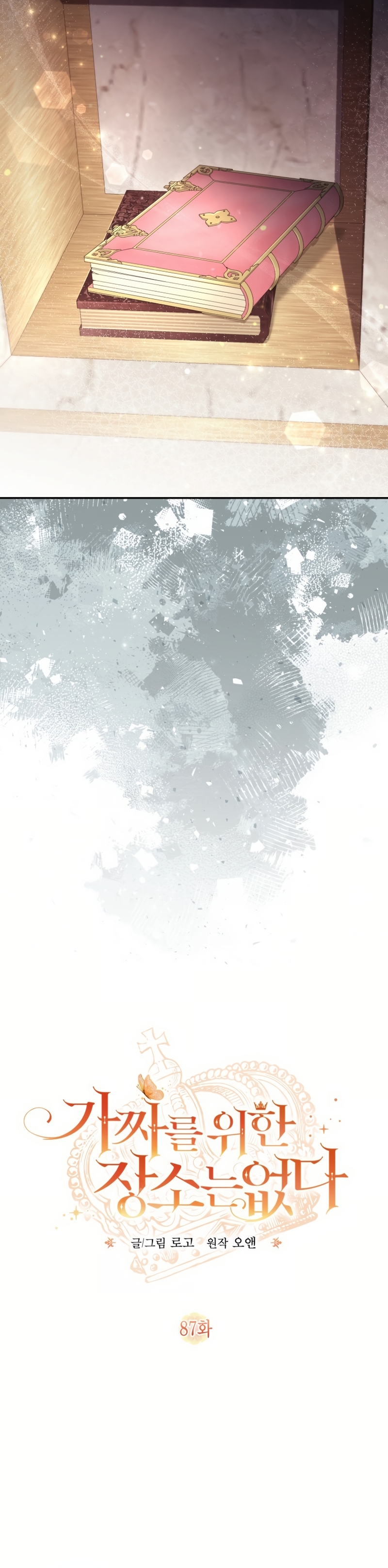 No hay lugar para las falsificaciones Capítulo 87 - Page 10