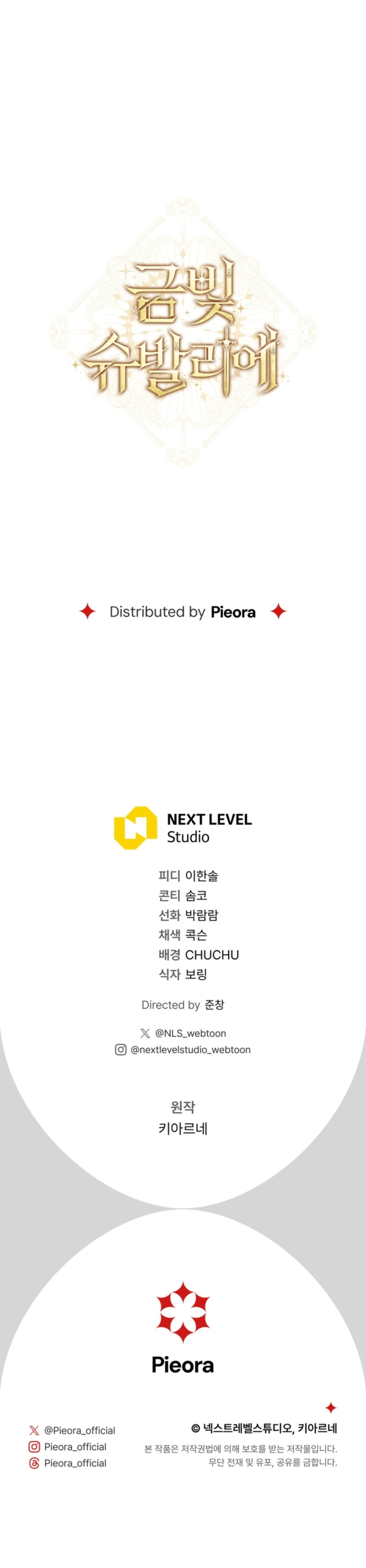 Caballero Dorado Capítulo 14 - Page 11