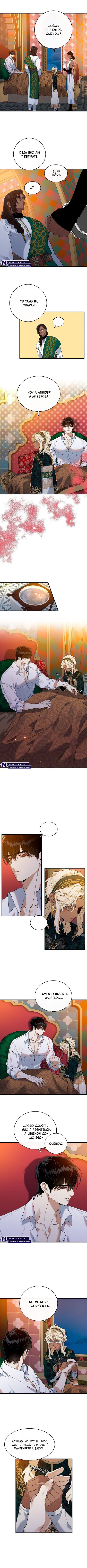 Flores de la noche Capítulo 4 - Page 5