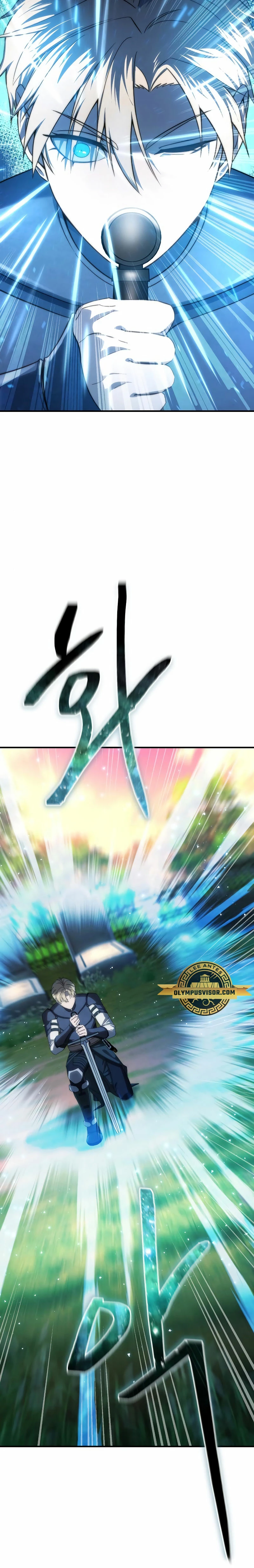 El maestro de la espada acogedor de estrellas Capítulo 19 - Page 10