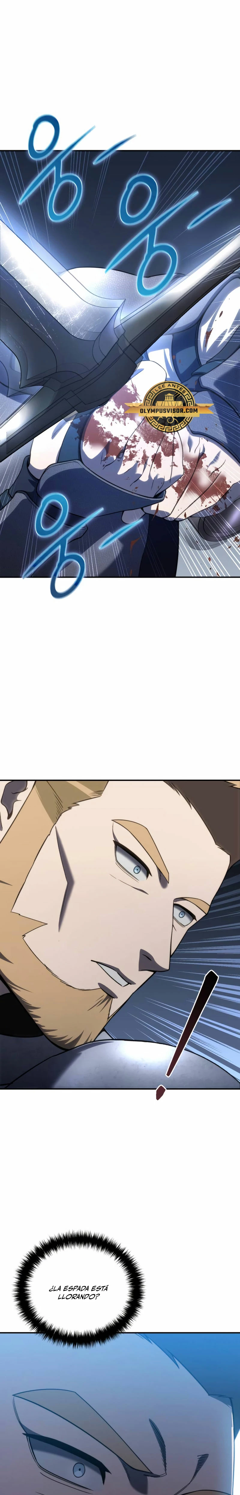 El maestro de la espada acogedor de estrellas Capítulo 22 - Page 17
